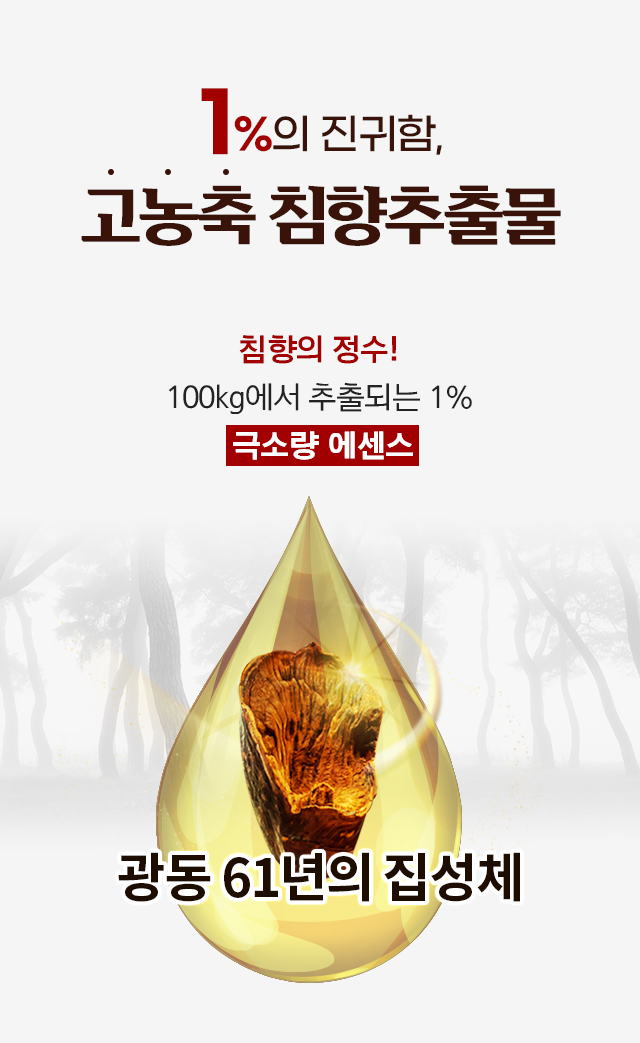 광동침향환
